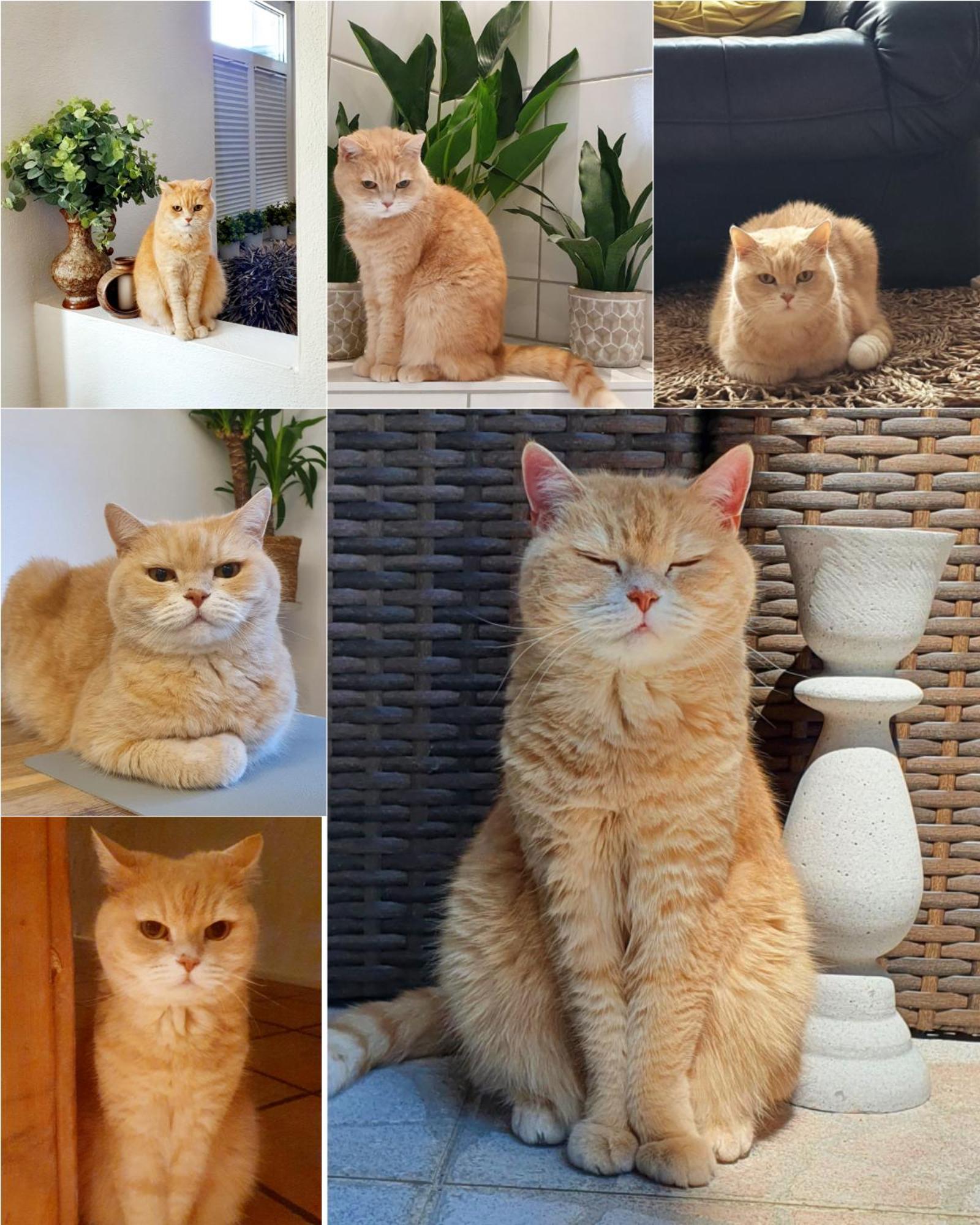 Dantas Apartment 뉘른베르크 외부 사진